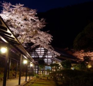 箱根の豊栄荘の春景色