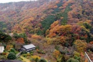 箱根の豊栄荘の景色
